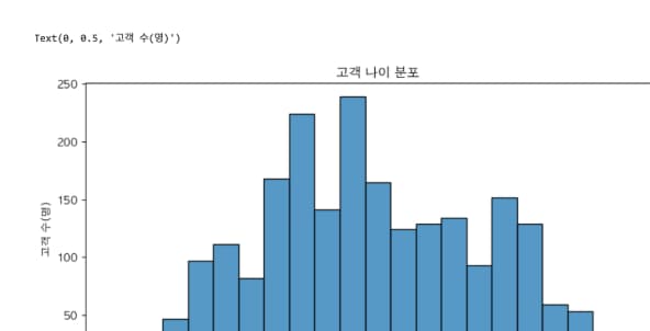 1) 고객 나이 분포 분석