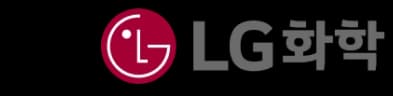 LG 화학